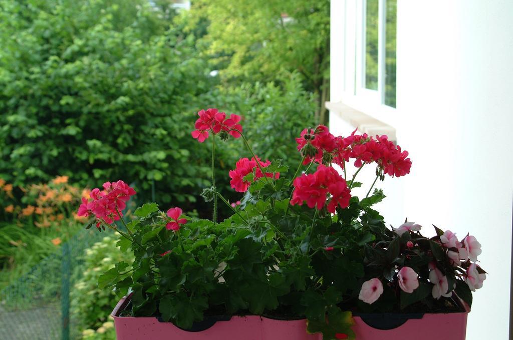 Appartement Le Jardin Lingolsheim Chambre photo